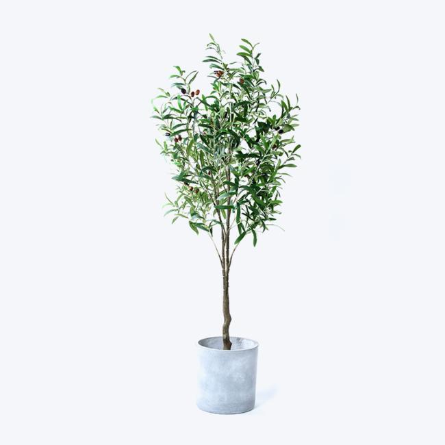 Fake green plant and pot Olive-l