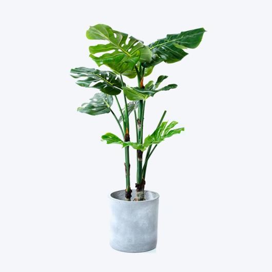 Fake green plant and pot Monstera-s